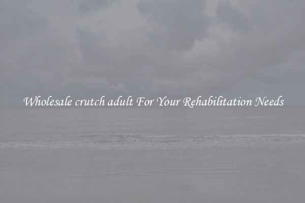Wholesale crutch adult For Your Rehabilitation Needs