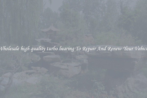 Wholesale high quality turbo bearing To Repair And Renew Your Vehicle