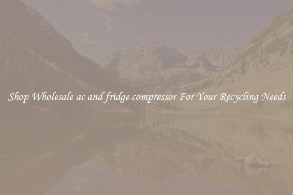 Shop Wholesale ac and fridge compressor For Your Recycling Needs