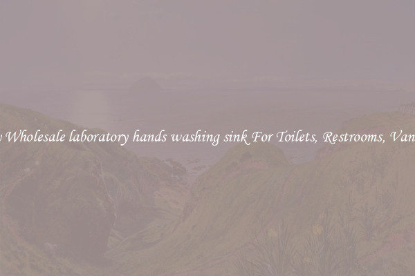 Buy Wholesale laboratory hands washing sink For Toilets, Restrooms, Vanities