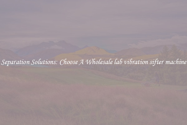 Separation Solutions: Choose A Wholesale lab vibration sifter machine