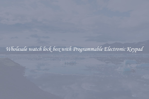 Wholesale watch lock box with Programmable Electronic Keypad 