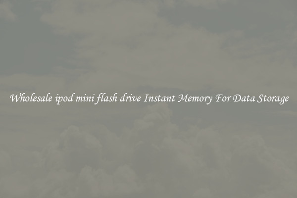 Wholesale ipod mini flash drive Instant Memory For Data Storage