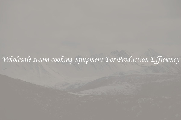 Wholesale steam cooking equipment For Production Efficiency