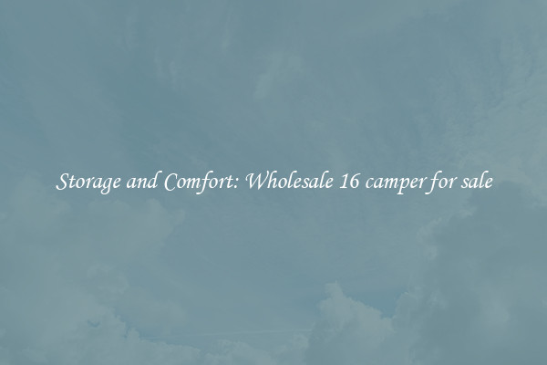Storage and Comfort: Wholesale 16 camper for sale