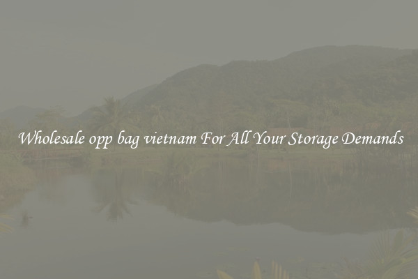 Wholesale opp bag vietnam For All Your Storage Demands