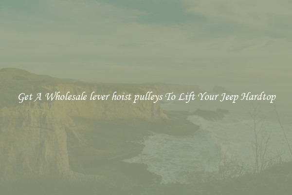 Get A Wholesale lever hoist pulleys To Lift Your Jeep Hardtop