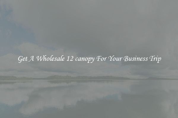 Get A Wholesale 12 canopy For Your Business Trip