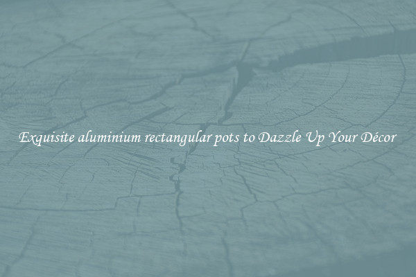 Exquisite aluminium rectangular pots to Dazzle Up Your Décor 
