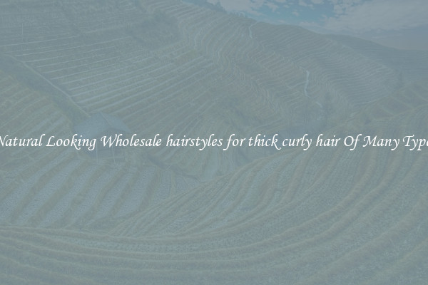 Natural Looking Wholesale hairstyles for thick curly hair Of Many Types