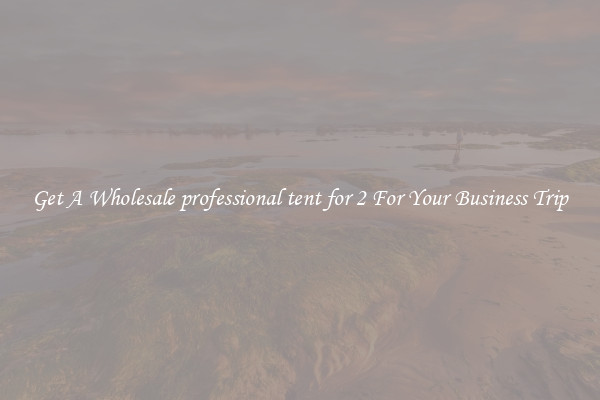 Get A Wholesale professional tent for 2 For Your Business Trip
