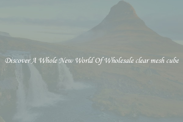 Discover A Whole New World Of Wholesale clear mesh cube