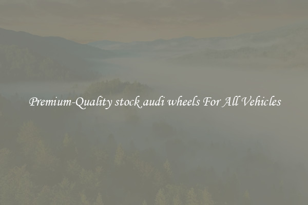 Premium-Quality stock audi wheels For All Vehicles